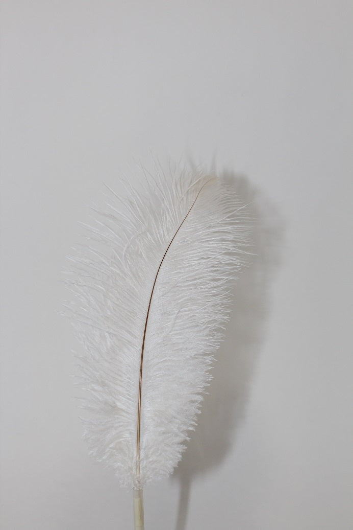 White Ostrich Feathers | Floral Fixx Weddings | Winnipeg