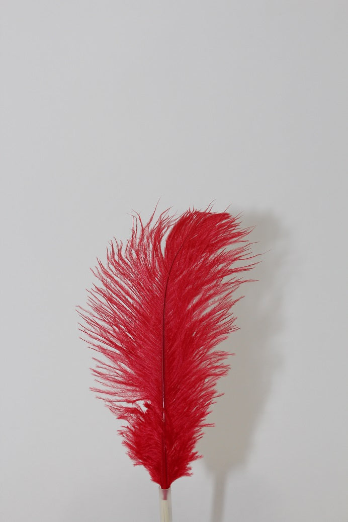 Red Ostrich Feathers | Floral Fixx Weddings | Winnipeg