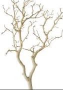 Sandblasted Manzanita Branch for Unique Decor | Floral Fixx Weddings | Winnipeg