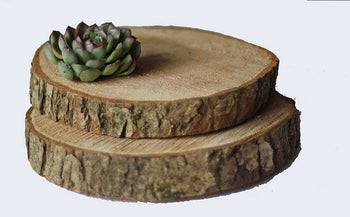 Large Raw Wood Slice with Bark for Event Decor | Floral Fixx Weddings | Winnipeg